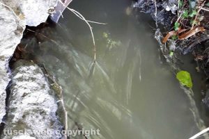 Bolsena - Lo scarico Cobalb