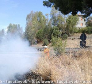 Montalto di Castro - L'incendio a ridosso dell'Aurelia