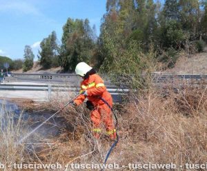 Montalto di Castro - L'incendio a ridosso dell'Aurelia
