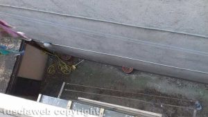 Viterbo - Escrementi e piccioni morti nei bagni di piazza Fontana grande