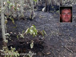 L'incendio in località Fiesole, nel riquadro Danilo Camilli