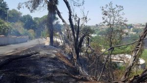 Incendio sulla Giustiniana