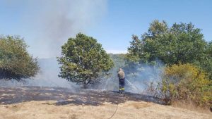 Incendio a Monte Cinghiale