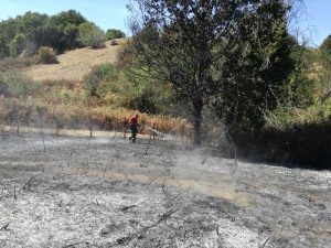 Incendio a Monte Musino