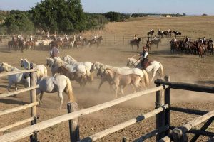 Montalto di Castro - Il trofeo di Vulci