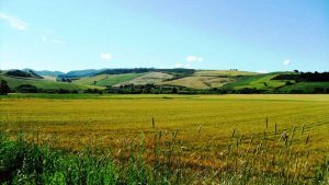 Valle del Mignone