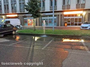 Viterbo - Irrigatori divelti in viale Trento