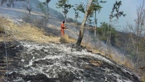 Volontari Aeopc impegnati negli incendi