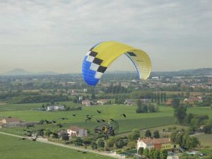 Orbetello - Stormo di ibis in volo dall'Austria verso l'oasi guidati da due ragazze