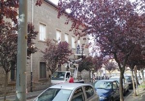 Viterbo - Controlli al museo civico