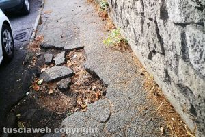 Viterbo - Incuria a via Belluno