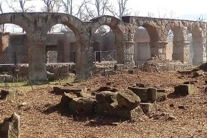 Viterbo - L'area archeologica di Ferento