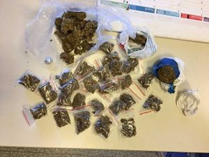 L'hashish e la marijuana sequestrate a pratogiardino "Lucio Battisti"