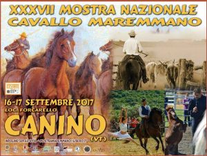Canino - Mostra nazionale del cavallo Maremmano