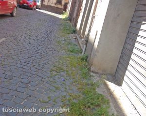 Viterbo - Il degrado in via Cieca