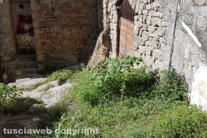 Viterbo - Via Delle Mole invasa dalle erbacce