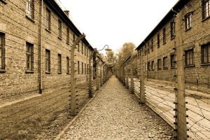 Il campo di sterminio di Auschwitz