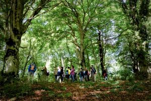 Bassano Romano - Un'escursione alla faggeta
