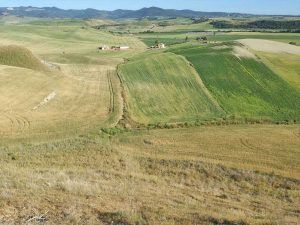 Tarquinia - Valle del Mignone