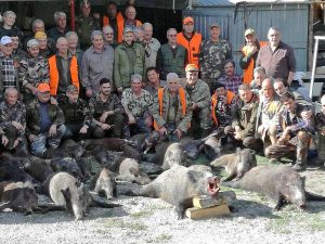 San Martino al Cimino - Battuta di caccia al cinghiale record in località Madonnina dei Cimini