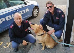 Viterbo – Poliziotti salvano cane in superstrada