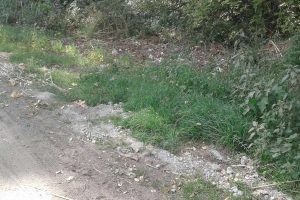 Viterbo - Ripulito il tratto 'Risiere' della via Francigena