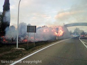 Montalto - Incendio vicino al ponte di legno - Foto di Gaetano Castelli