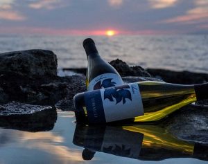 Il vino dell'Azienda Muscari Tomajoli
