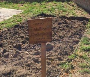 Vignanello - Campo didattico biologico