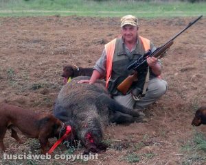 Il cinghiale ucciso da Marco Pianura