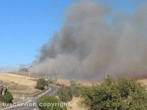 Monte Romano - L'incendio al bosco della Turchina