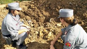 I carabinieri forestali trovano carcasse di cavalli smaltite illegalmente