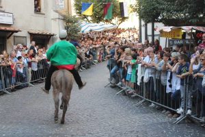 Canepina - Il palio degli asini