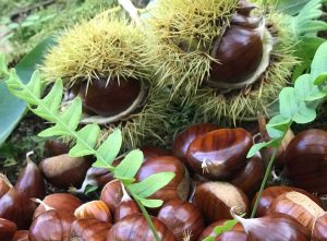 Castagne