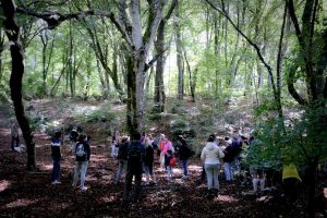 Bassano Romano - Visita alla Faggeta