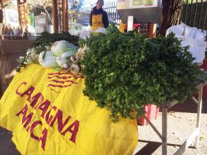 Viterbo - Inaugurata la sede provinciale della Coldiretti