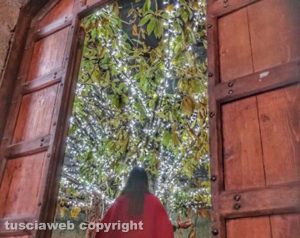 L'albero magico a palazzi degli Alessandri