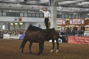 Sport - Equitazione - Filippo Nassi