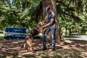 Calendario Polizia 2018 - Luglio