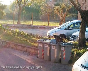Viterbo - Rifiuti in via Dora Baltea