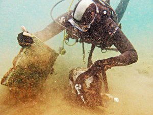 Ambiente - Il progetto di Cirspe e Costa Crociere FoundationAmbiente - Il progetto di Cirspe e Costa Crociere Foundation