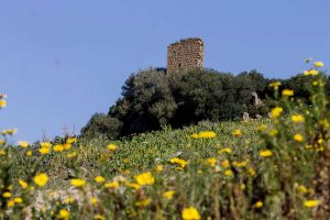 Tarquinia - Valle del Mignone
