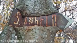 Vetralla - "Albero di faggio si 'mangia' un cartello stradale"