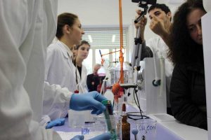 IIS Vincenzo Cardarelli