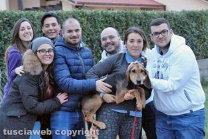 Tuscania - Il segugio salvato - Foto di Sabino Buzi