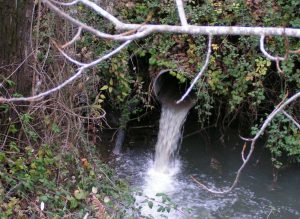 Marta - Lo sversamento nel fiume durante il sopralluogo di Meetup 5 stelle