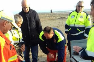 Montalto di Castro - La protezione civile in azione