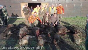 Tuscania - Caccia al cinghiale per i cacciatori dell'azienda faunistico-venatoria Pantalla