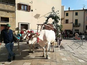 Ischia di Castro - Festeggiato sant'Antonio