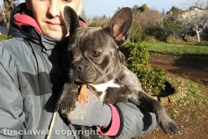 Viterbo - Il cane ritrovato su strada Palanzana